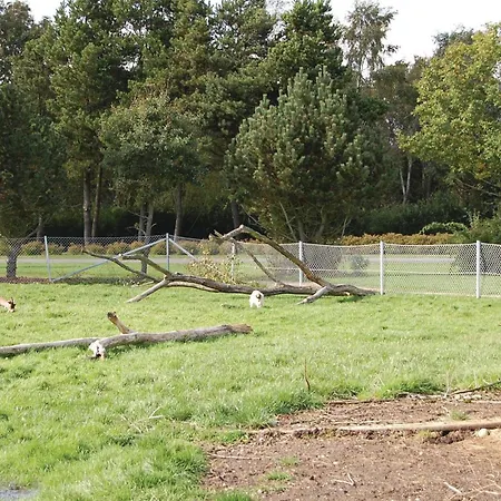 Dom wakacyjny Blabaervangen V Oksbøl